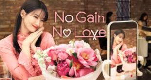 No Gain No Love 1